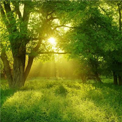 半岛官网下载截图